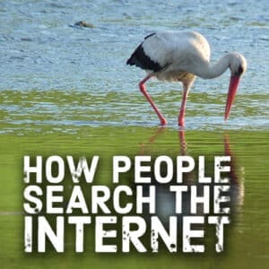 How People Search the Internet