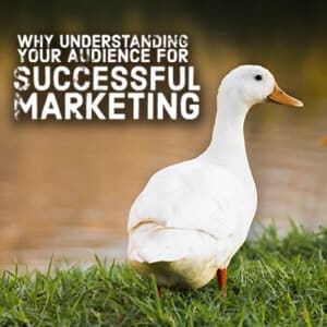 Why Understanding Your Audience for Successful Marketing