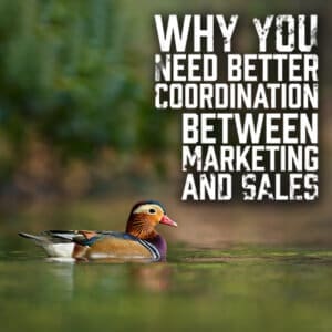 Coordination Between Marketing and Sales