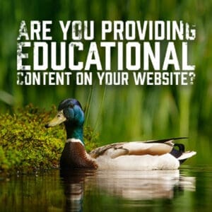 Are You Providing Educational Content on Your Website