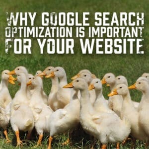 Why Google Search Optimization is Important for Your Website