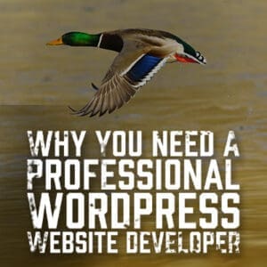 Why You Need a Professional WordPress Website Developer