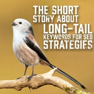 Long-Tail Keywords for SEO Strategies (1)