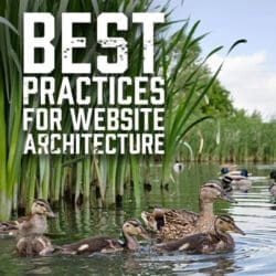 Best Practices for Website Architecture