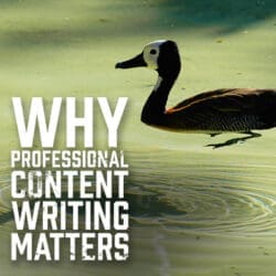 Why Professional Content Writing Matters