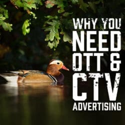 Why You Need OTT and CTV Advertising