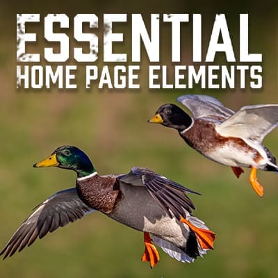 Essential Home Page Elements