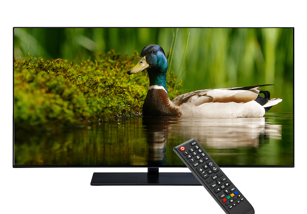 duck-tv-slide-small