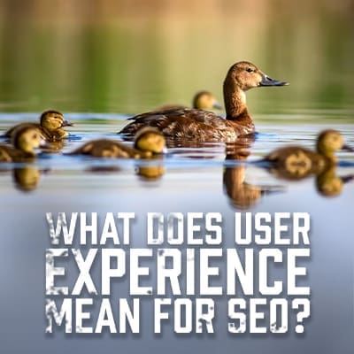 What does User Experience mean for SEO