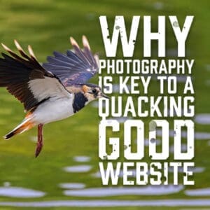 Why Photography is Key to a Quacking Good Website