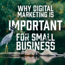 Digital Marketing is Important for Small Business