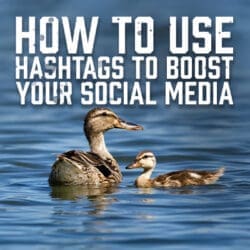 How to Use Hashtags to Boost Your Social Media