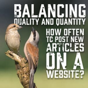 Quality and Quanity