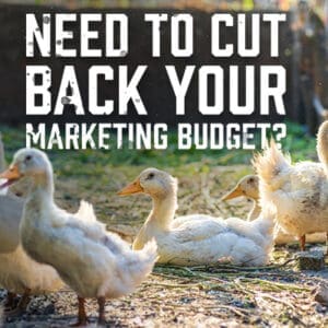 MarketingBUdget
