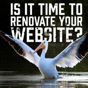 Renovate
