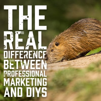 TheRealDifference