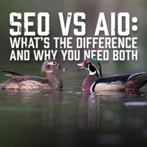 SEOAIO