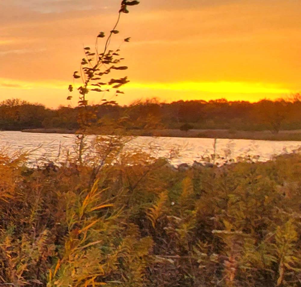 sunset over the water