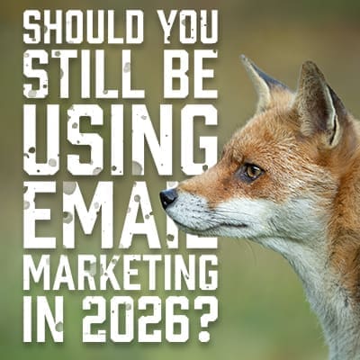 EmailMarketing123123