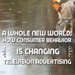 A Whole New World How Consumer Behavior is Changing Television Advertising