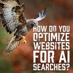 AI Searches
