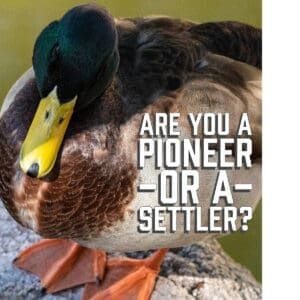Are You a Pioneer or a Settler?