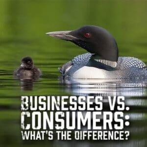 Businesses vs Consumers What's the Difference
