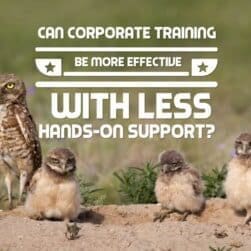 Can Corporate Training Be More Effective With Less Hands-On Support?