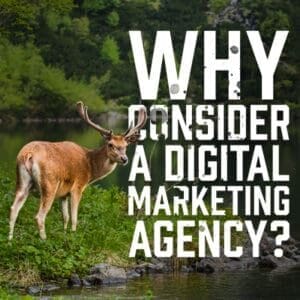 Digital Market