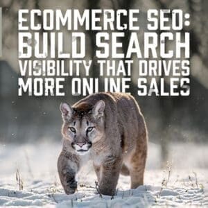 Ecommerce SEO