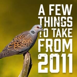 takeaways from 2011