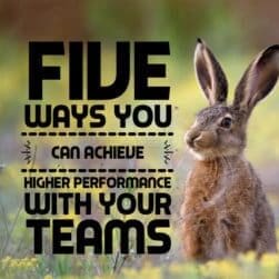 Five Ways You Can Achieve Higher Performance With Your Teams