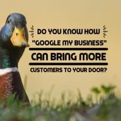 Google My Business