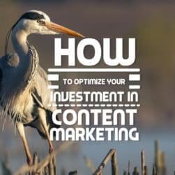 How to Optimize Your Investment in Content Marketing