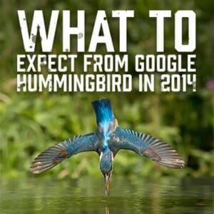 Hummingbird