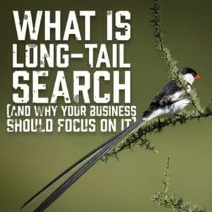 LongTail