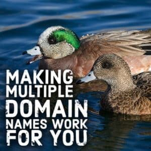 multiple domain names