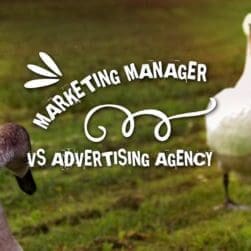 Marketing Manager vs Advertising Agency