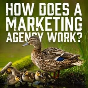 MarketingAgencyWork