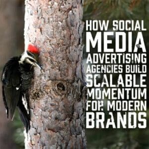 ModernBRands