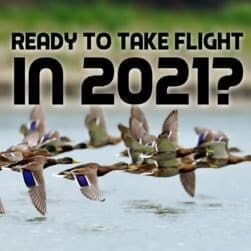 Ready to take flight in 2021 Business Growth in 2021