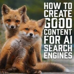 SearchEngines