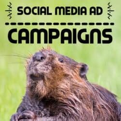 Social Media Ad Campaigns