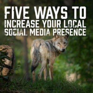 Social Media Presence