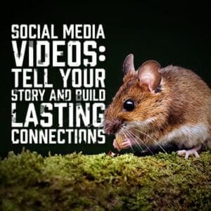 SocialMEdiaVideos