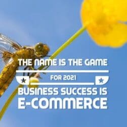 The Name of the Game for 2021 Business Success is E-Commerce