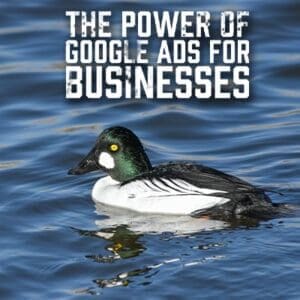 Google Ads for Businesses