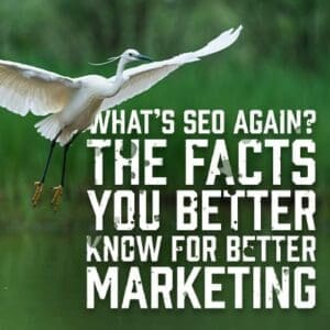 WhatsSEO