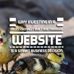 Why Investing in a Professionally Built and Managed Website is a Smart Business Decision