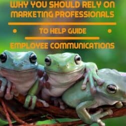 Why You Should Rely on Marketing Professionals to Help Guide Employee Communications
